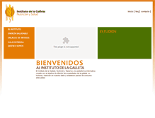 Tablet Screenshot of institutodelagalleta.com